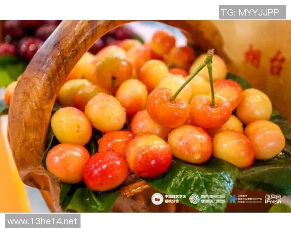 pis韩国比赛直播吗-Pis韩国比赛直播盛况-pis韩国比赛直播吗